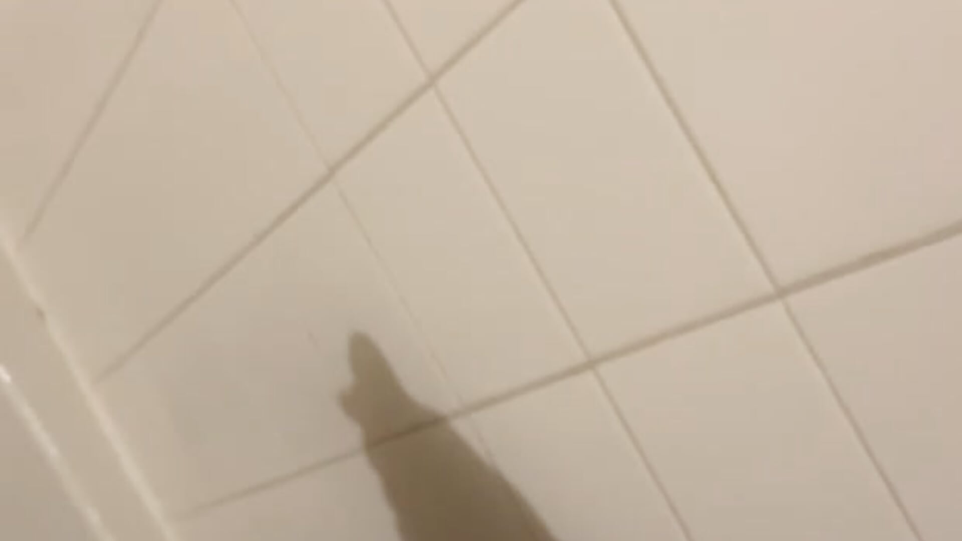 m_d_fl - Trendy videá camgirls 9057