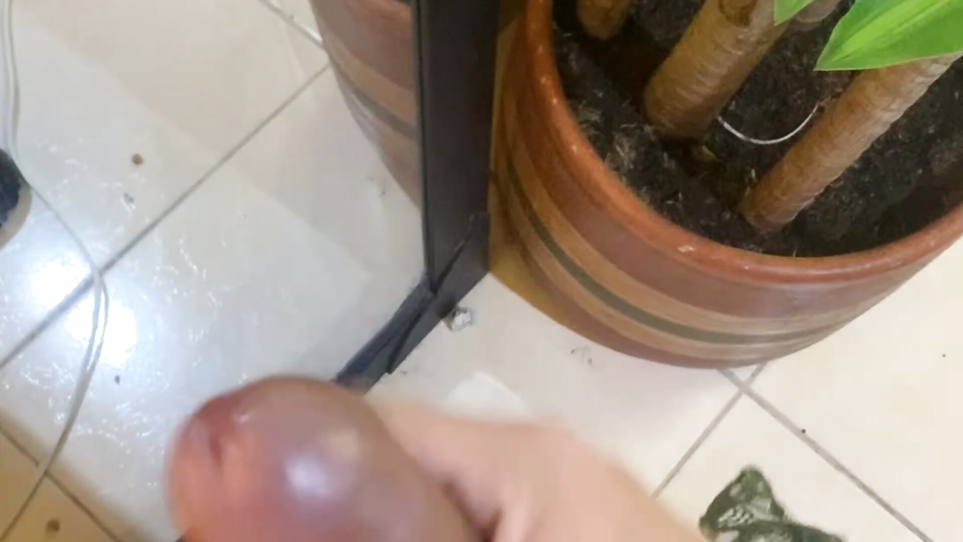 show cum - video by dinirain7 cam model