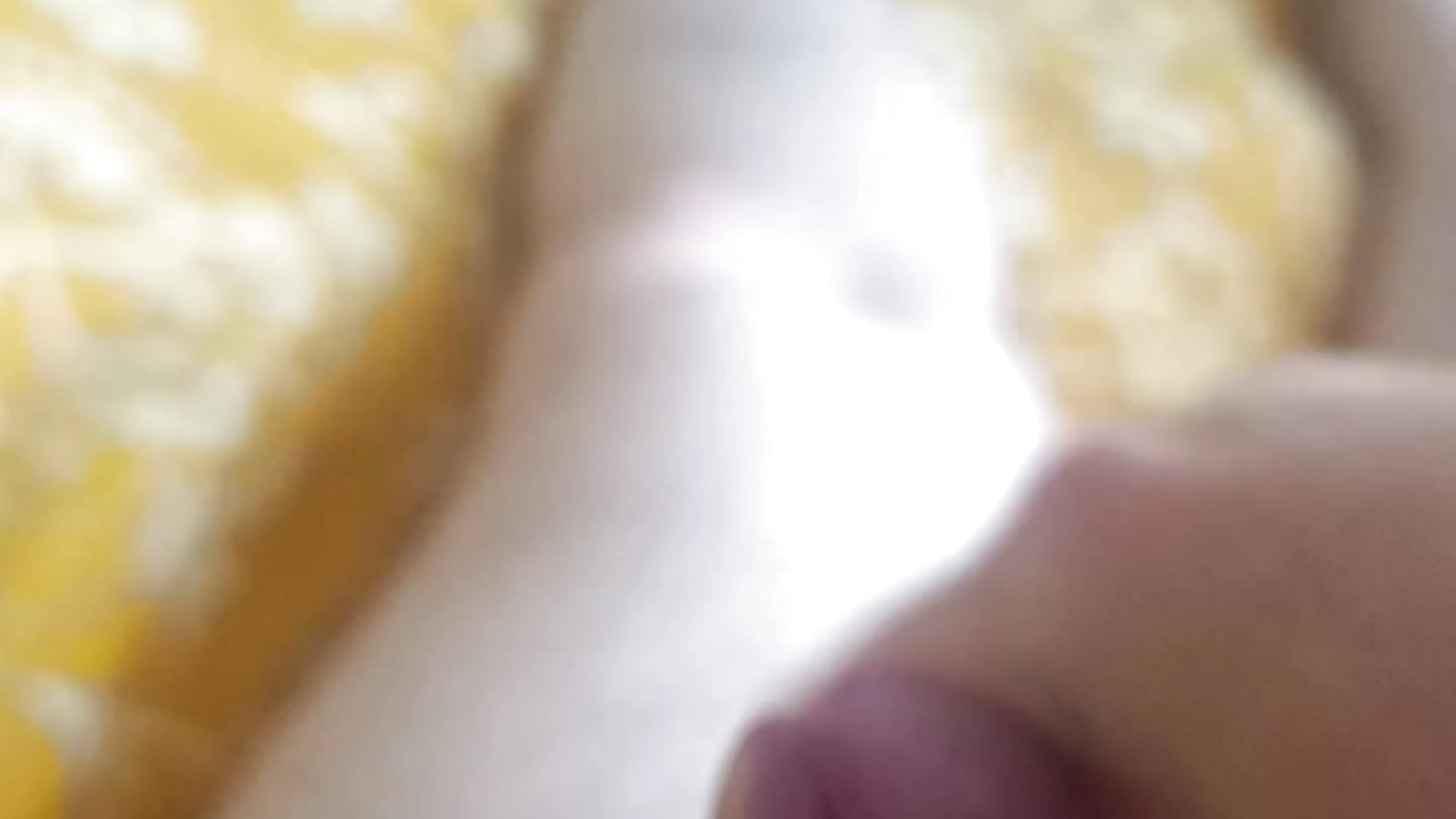 1 - วิดีโอโดย awesome-dirty-dick โมเดลแคม