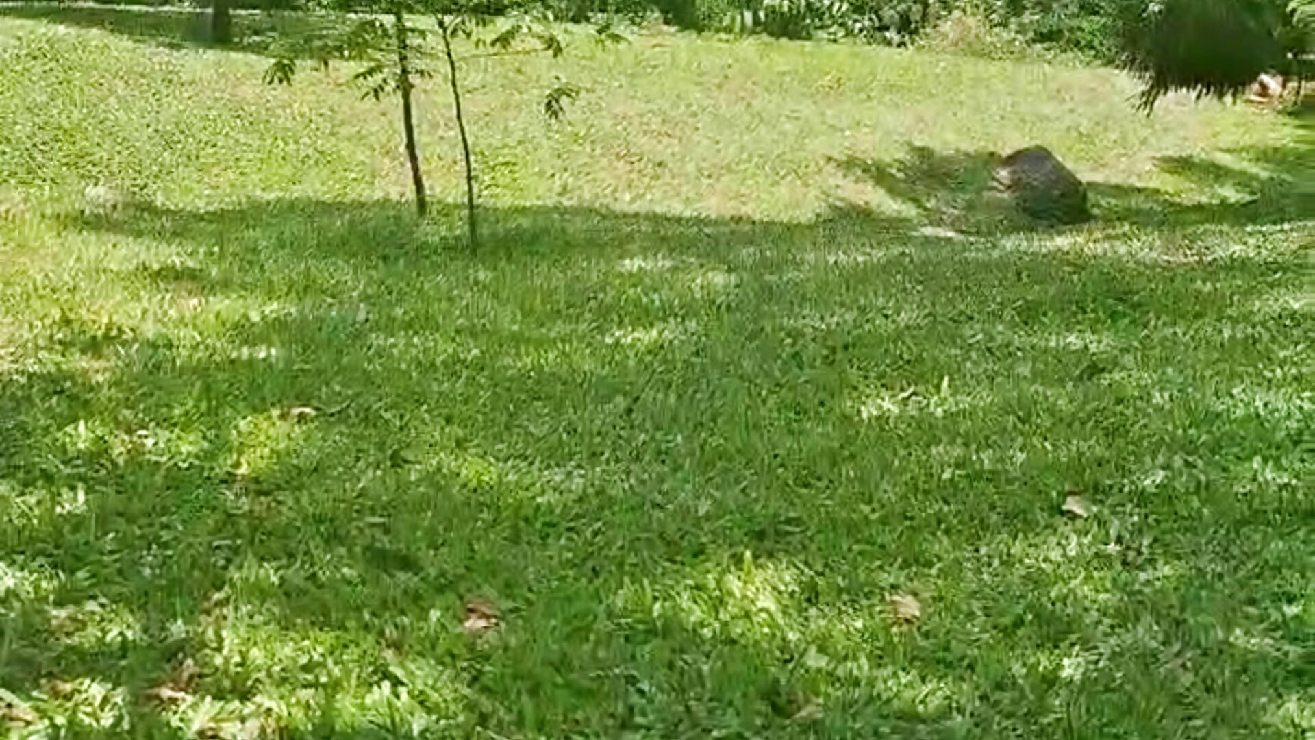 For me, the best combination of hobbies! Reading and enjoying the scenery is a perfect way to unwind - video di Lorena_Vieira_ modella di cam