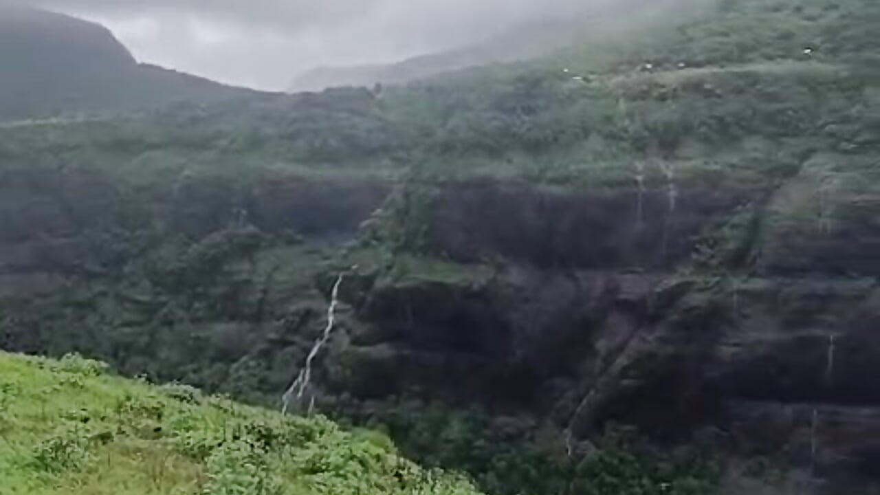 1000107177 - video by Dragon2272 cam model