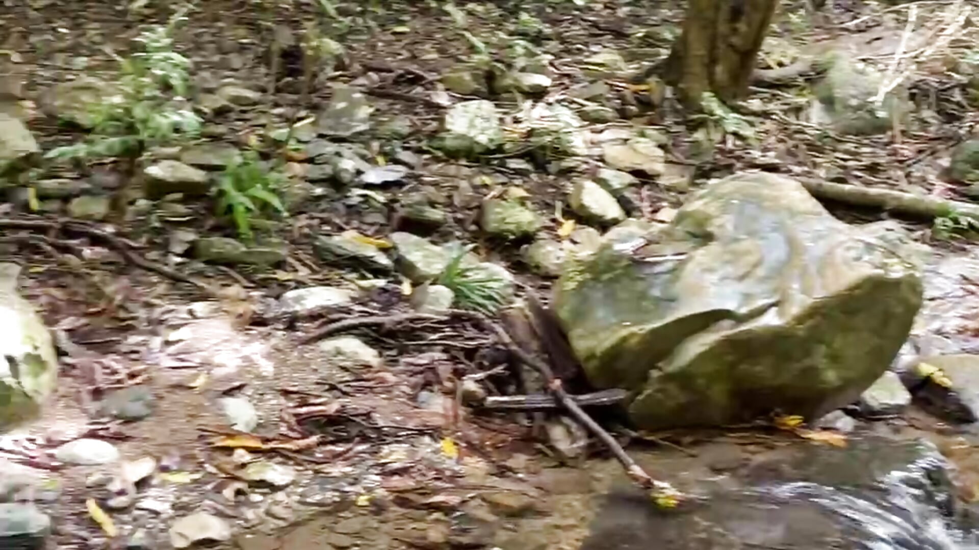 My mouth is pregnant in the forest－カメラキャストのChristangel96_の動画