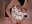 squirt in bathroom.💦 pssss 🤫🤫- half Face& biiiig boobs!🍒 - luisa1 님의 동영상