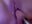 Fuck masch! 🍆💜 fuck me. - luisa1 님의 동영상