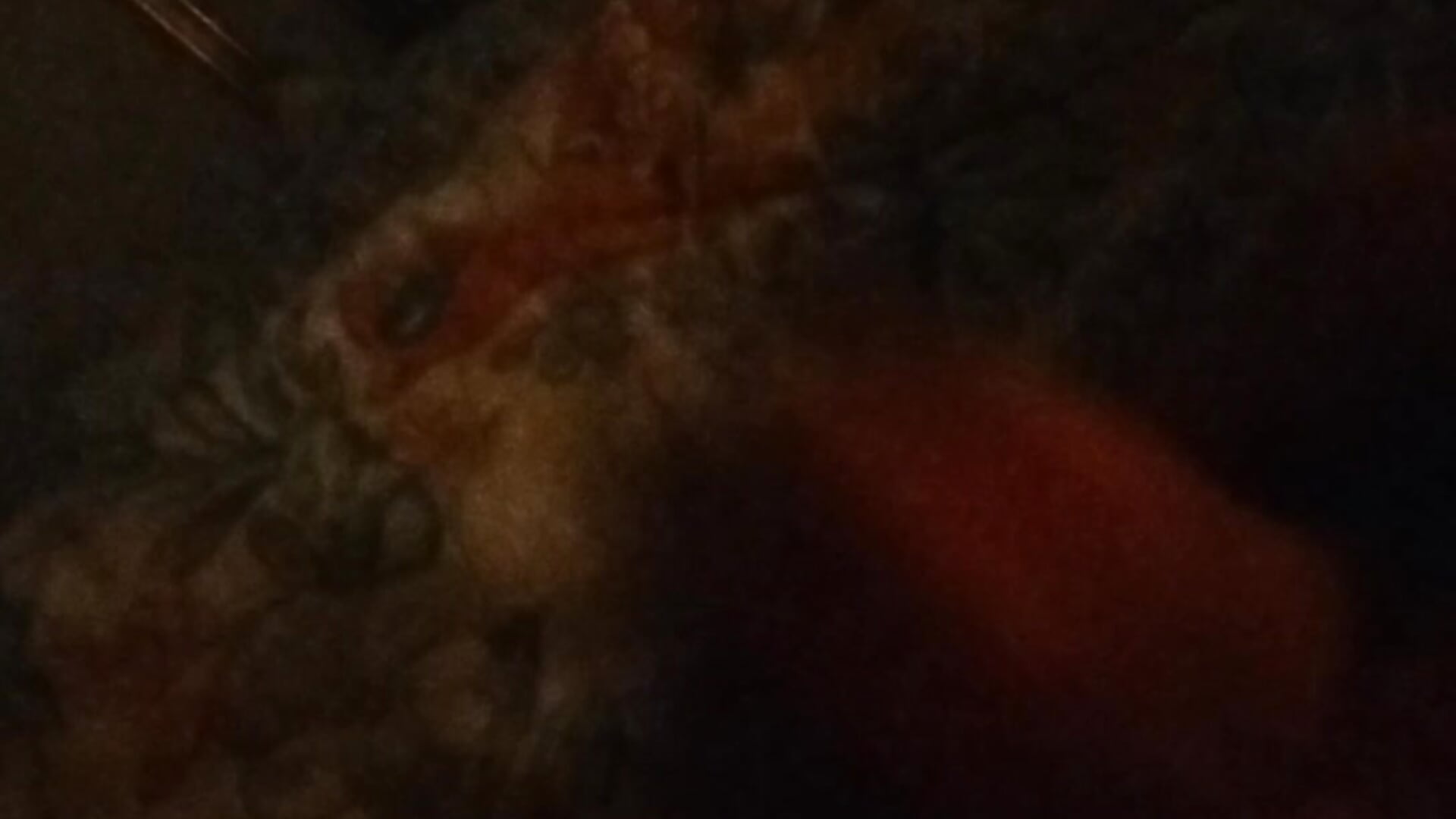 Top Big - video by JoanBig@xh cam model