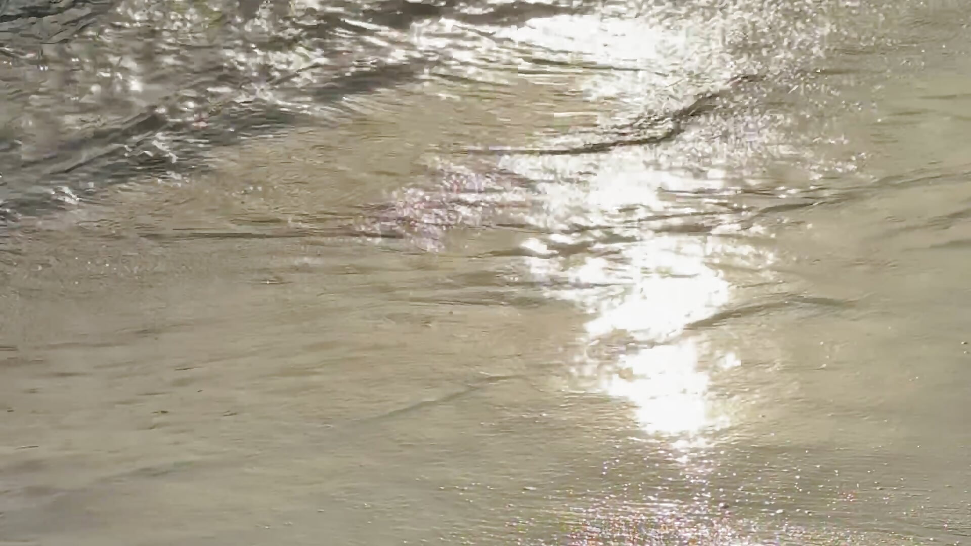 IMG_7577－カメラキャストのGia_Ferhの動画