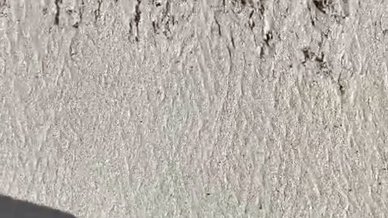 Tropical sand walking - video của người mẫu cam pablo-rincon95