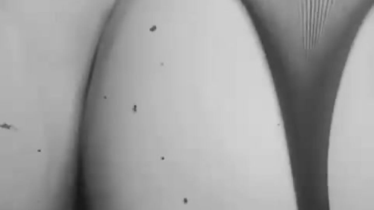 Have you already watched my new video? Don't think about it anymore, subscribe to my fan club and do - Video von meikochoe Cam-Model