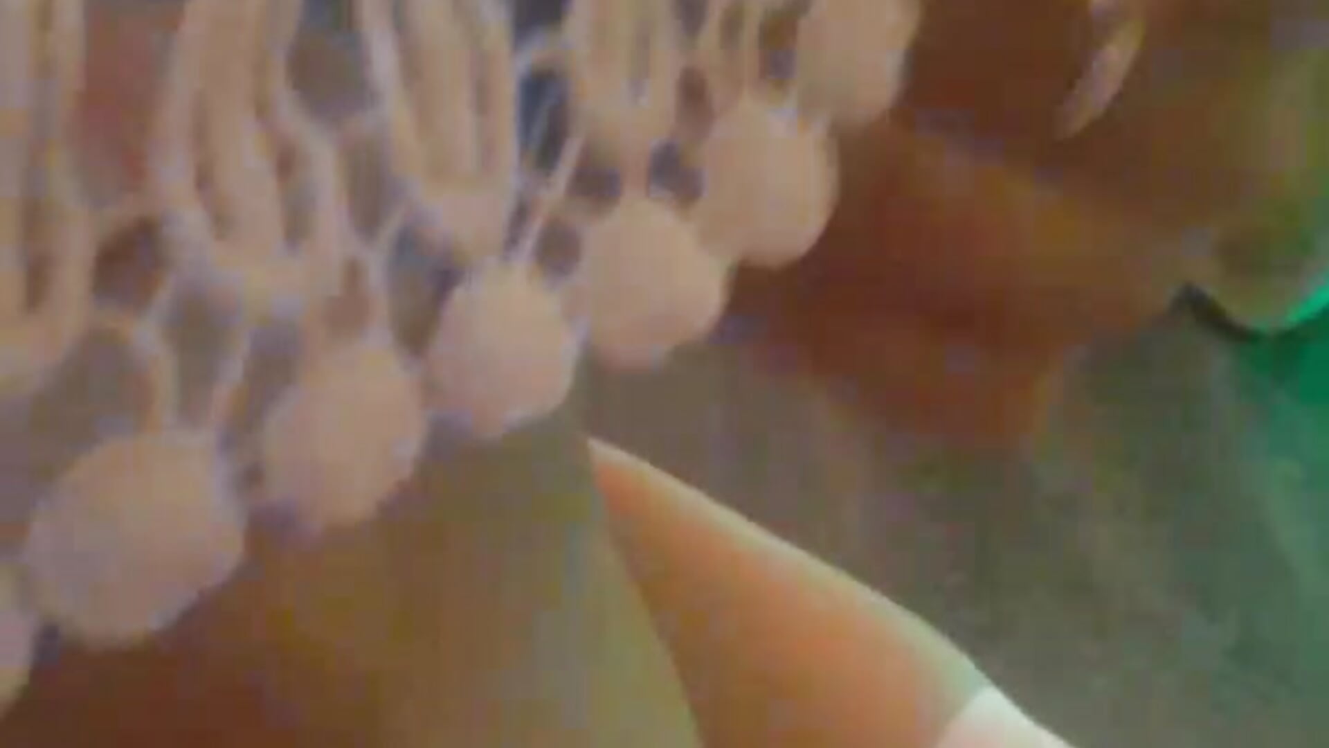 I want you. - video by JessieOMays cam model