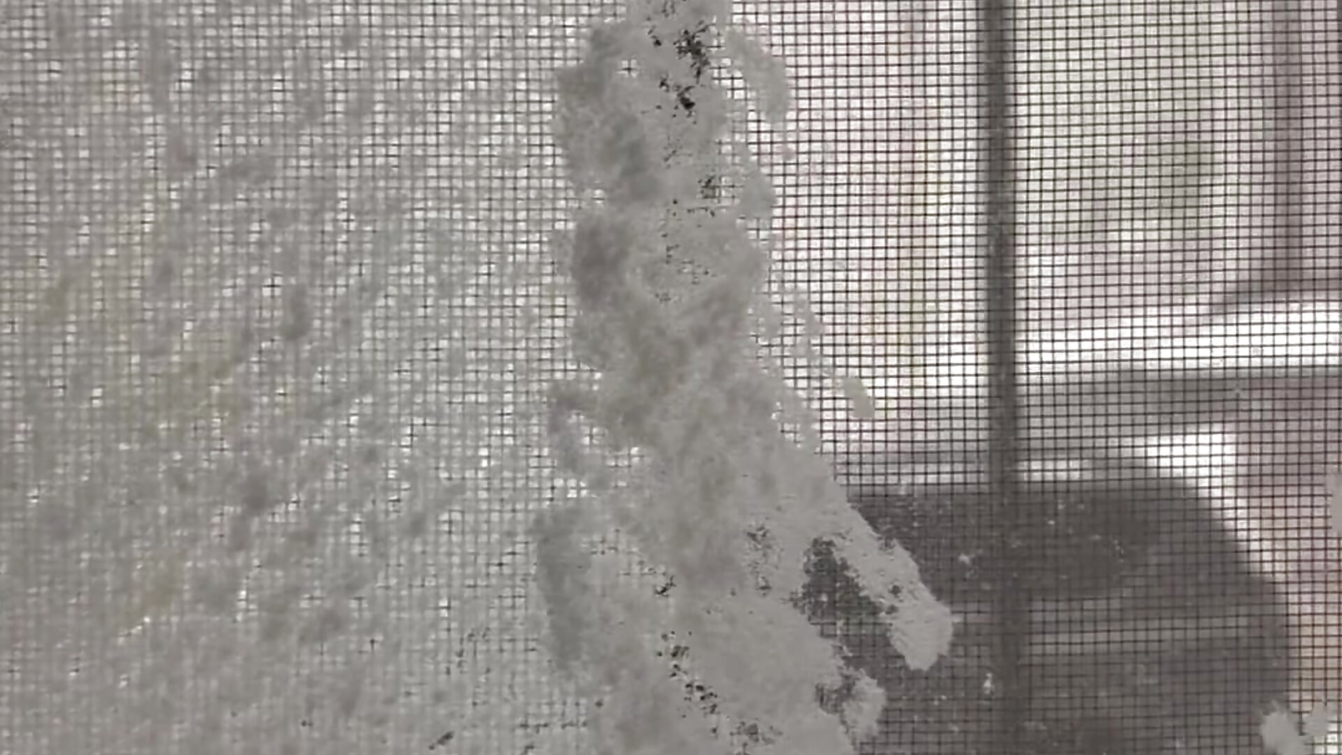 The wind is 23 m/s, the witch's soul rejoices 🤭 - video by WitchBlueRose cam model