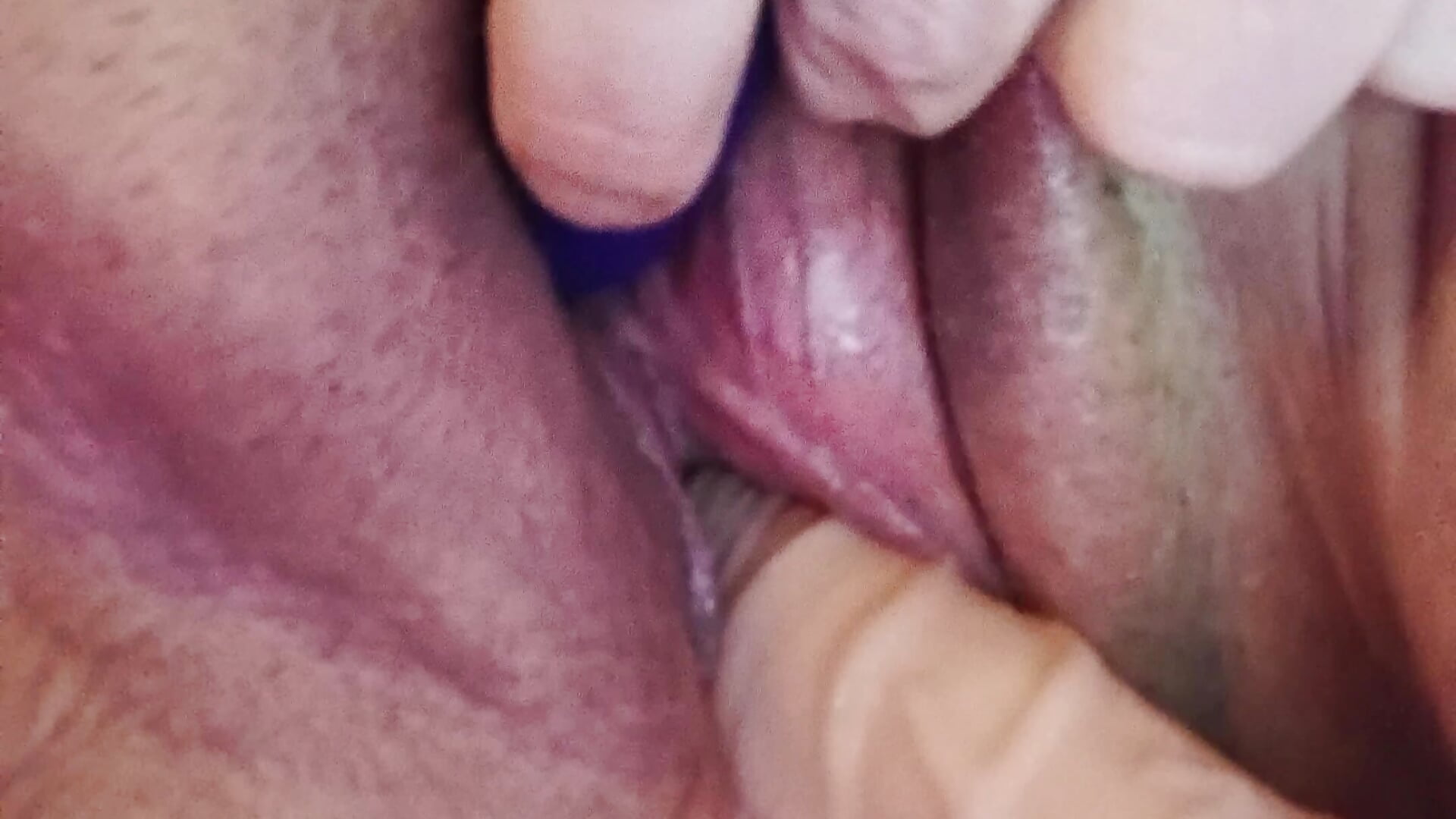 Dildo Fun