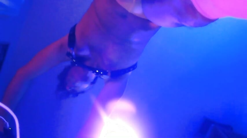 Upshot B roll camera angle for pvt show 10/26 - vidéo du modèle de showcams LINYguy
