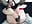 Sunday morning with dragon 29/06/25 - video by _ELLEx cam model