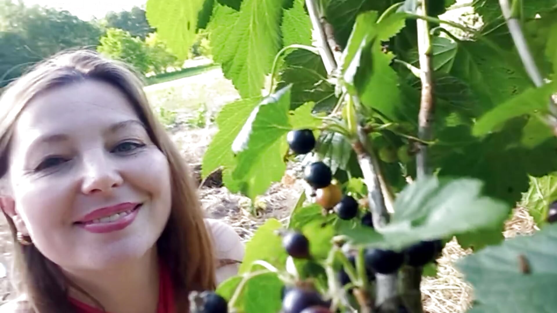 berries - dumplings - відео від вебкаммоделі VselenaSun402