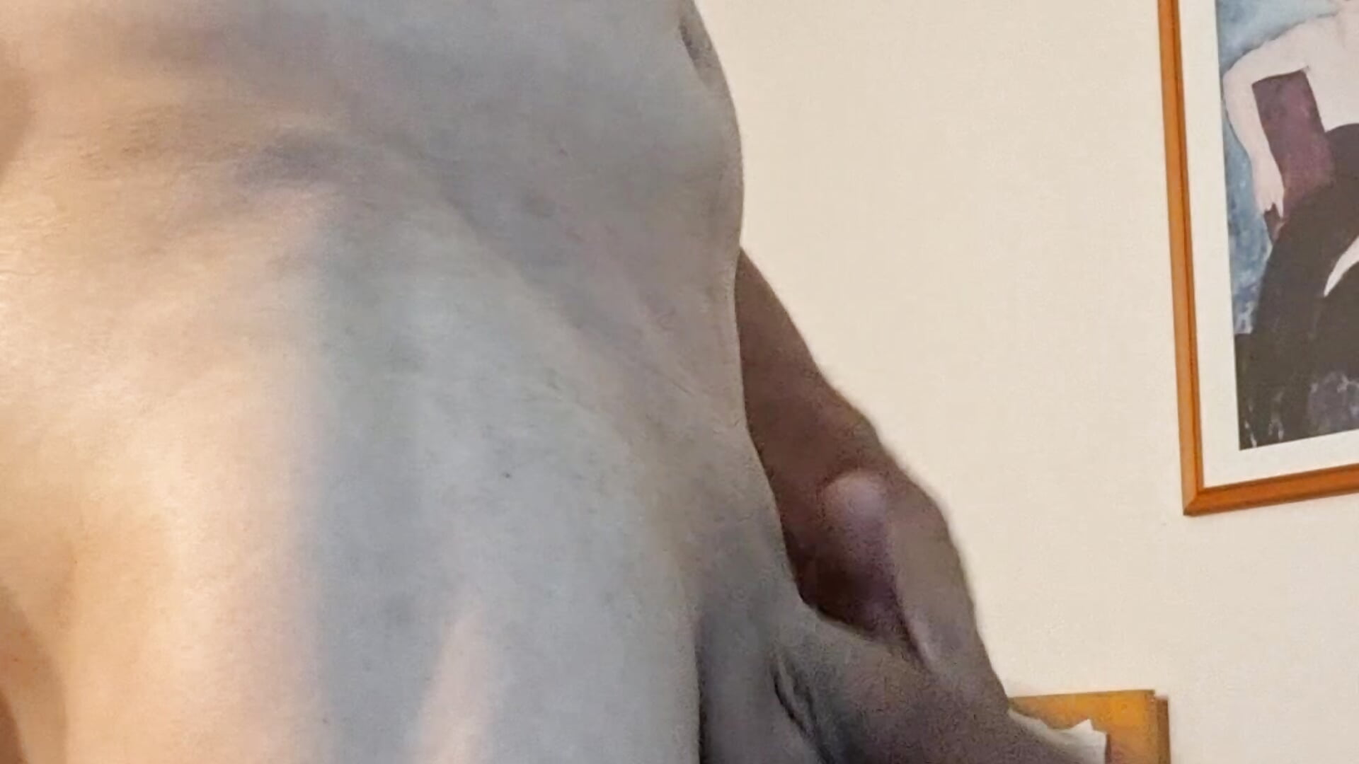 43