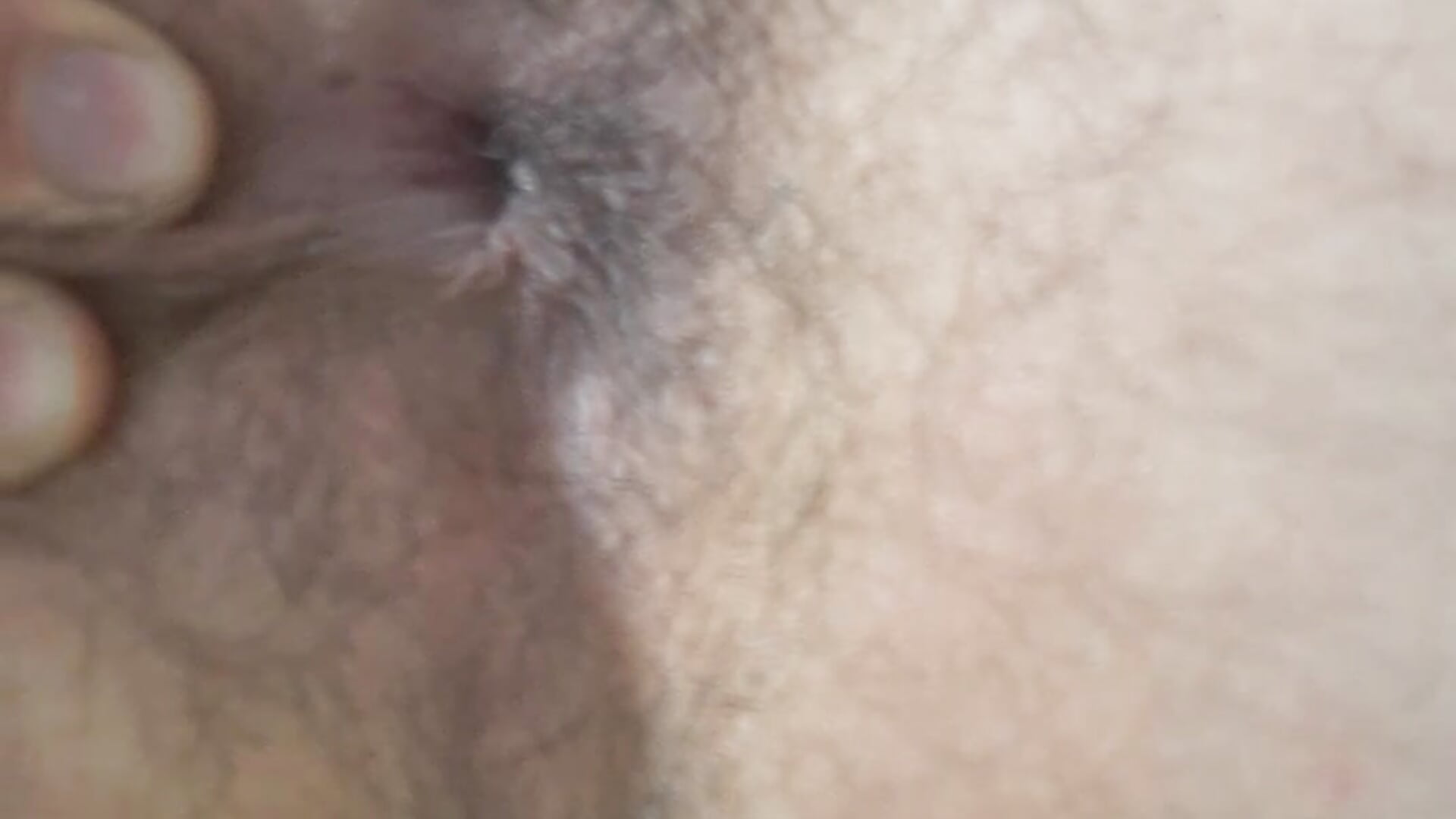 INCREDIBLE HOLE FURRY THAT SHRINKS WHEN YOU LOOK AT IT