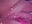 1000003599 - video by thatonespicychick cam model
