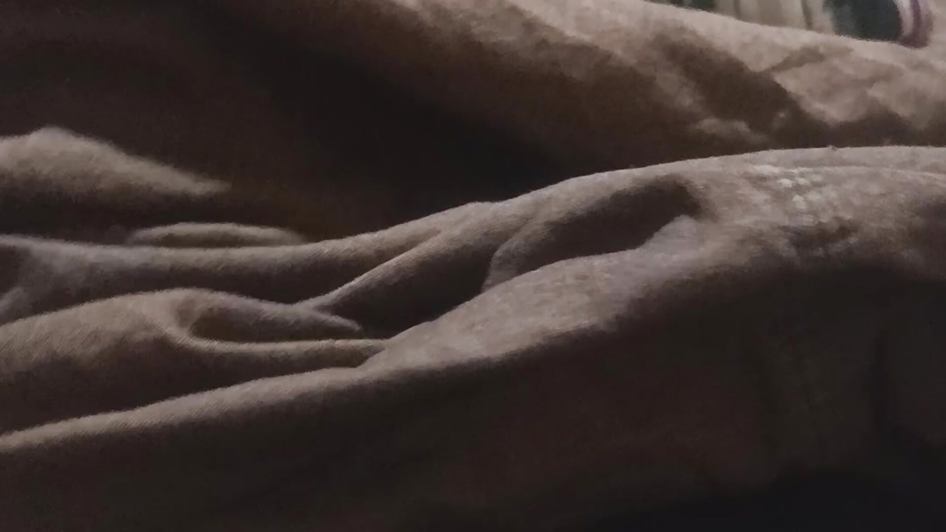 VID_20250725_214558 - video by SisterlyFarmhand cam model