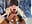 MEGAA CUMSHOT on Face π¦ - video by Secret_couple_ cam model