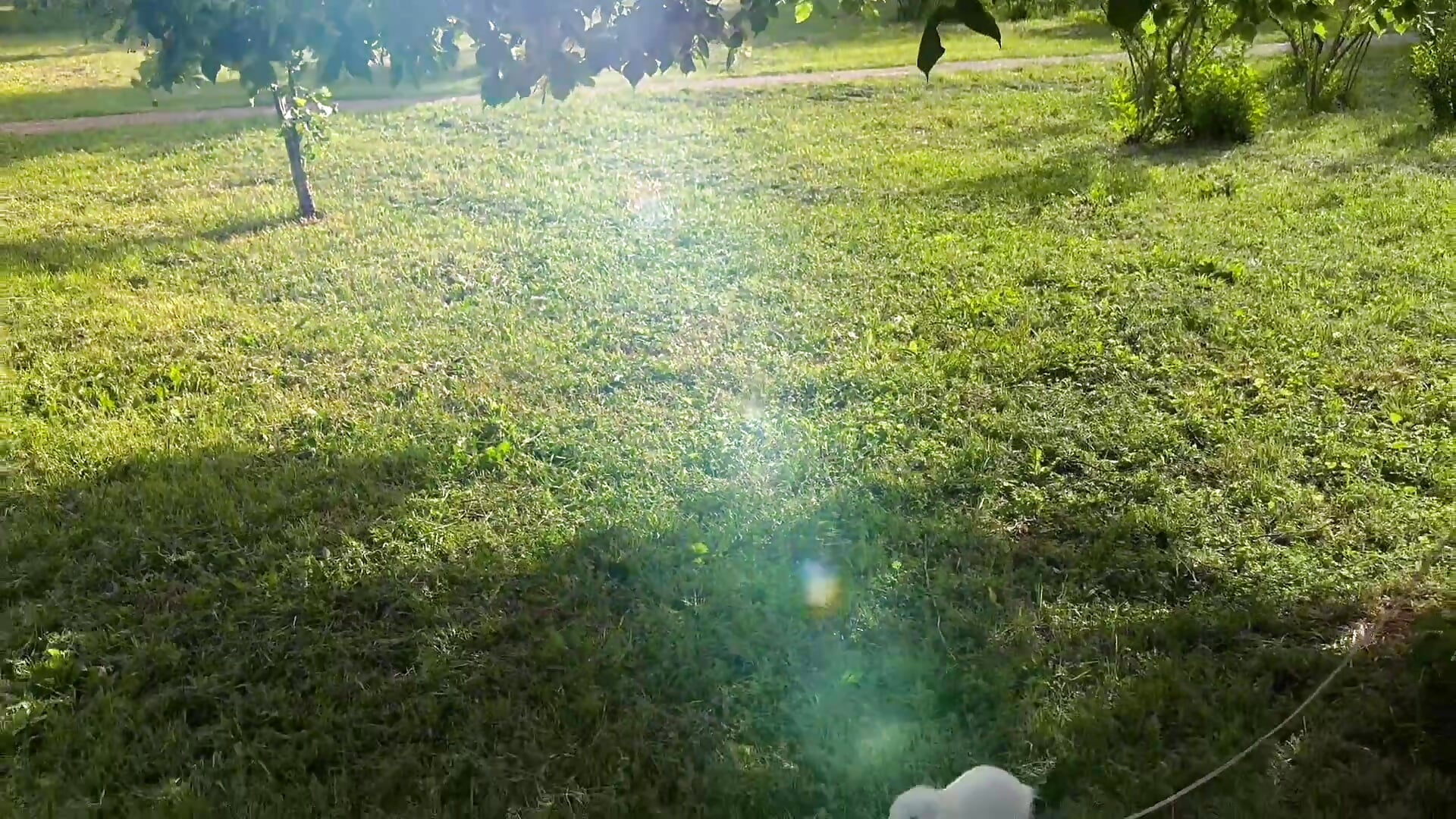 Nature walk 🚶‍♀️ 🤍🐇 - vidéo du modèle de showcams SIlviaBeyt