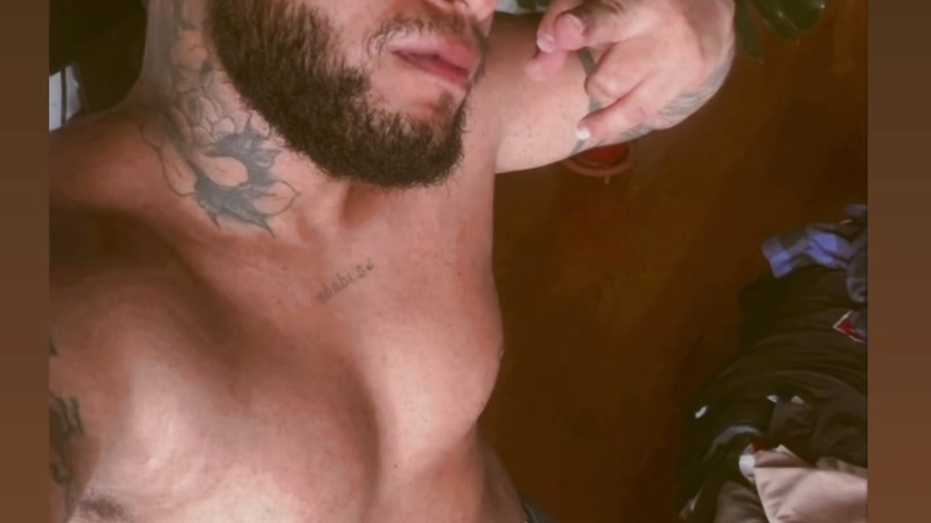 Boxer - Video von Chris_Gatito Cam-Model