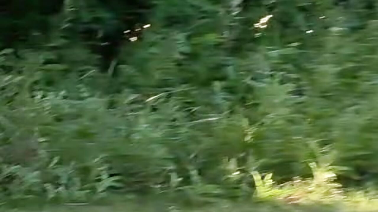 fingering a pussy in the park