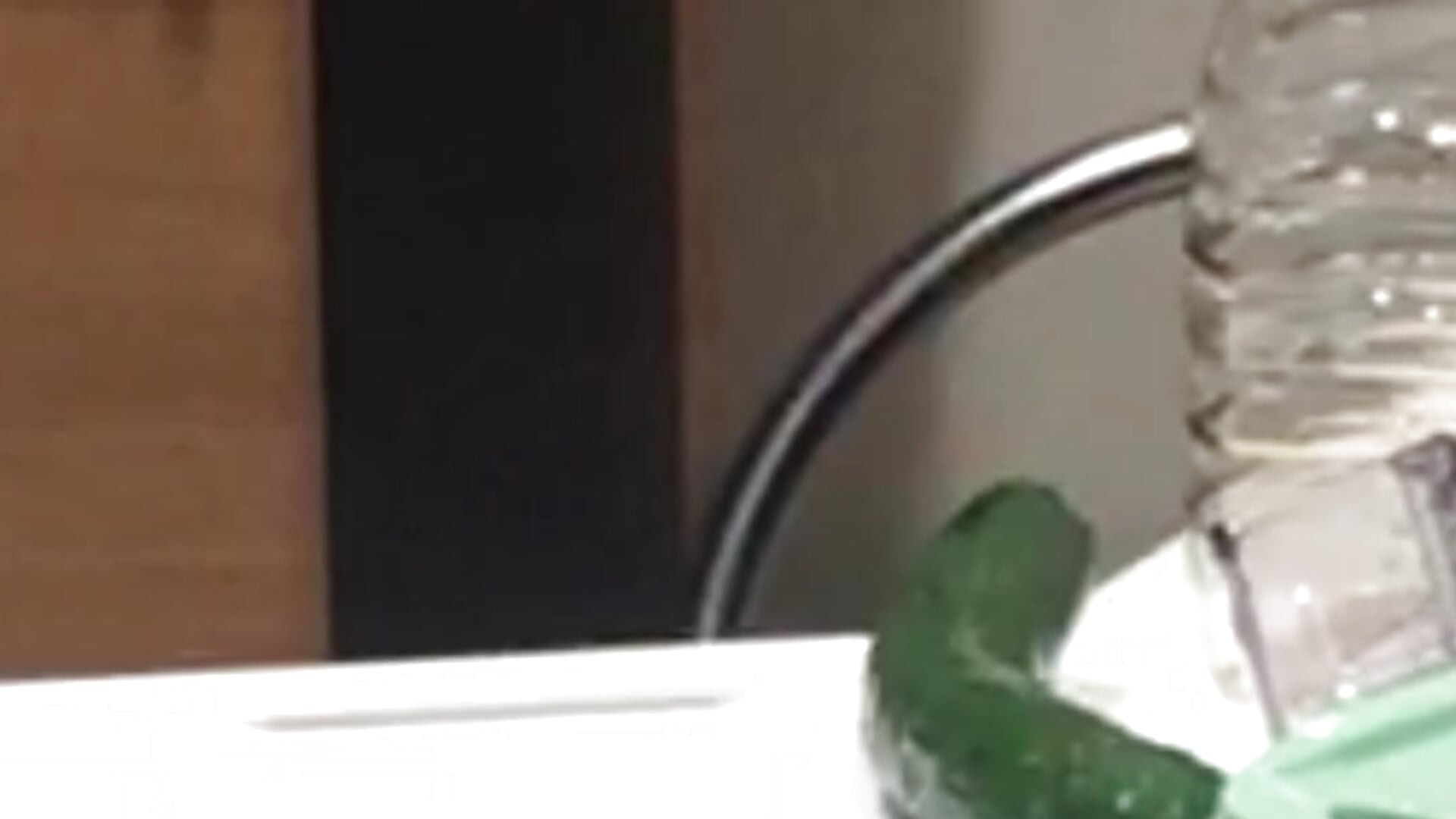 料理　2025年7月11日キュウリのマヨネーズ和え－カメラキャストのmaru_010_chinの動画