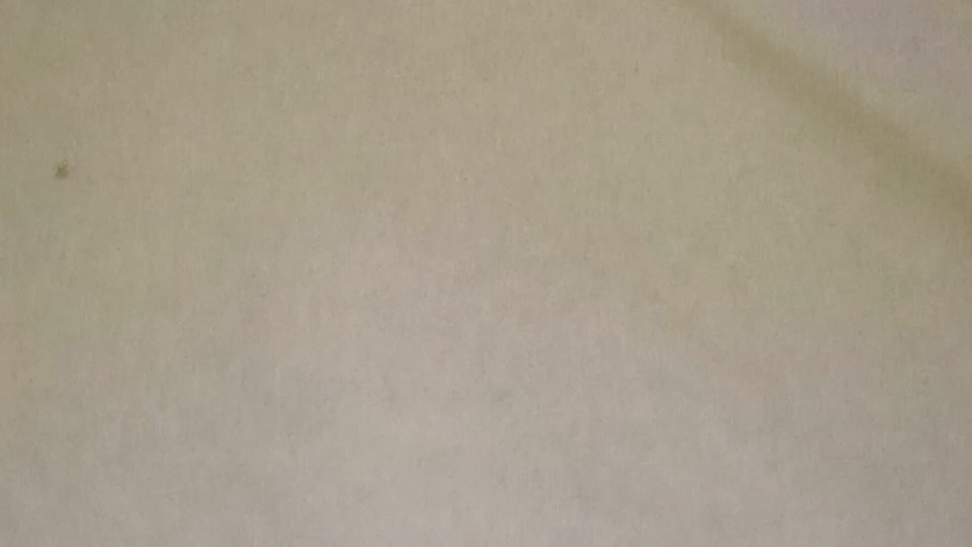 VID_20251212_171958 – video af dkeilmansr cam-model