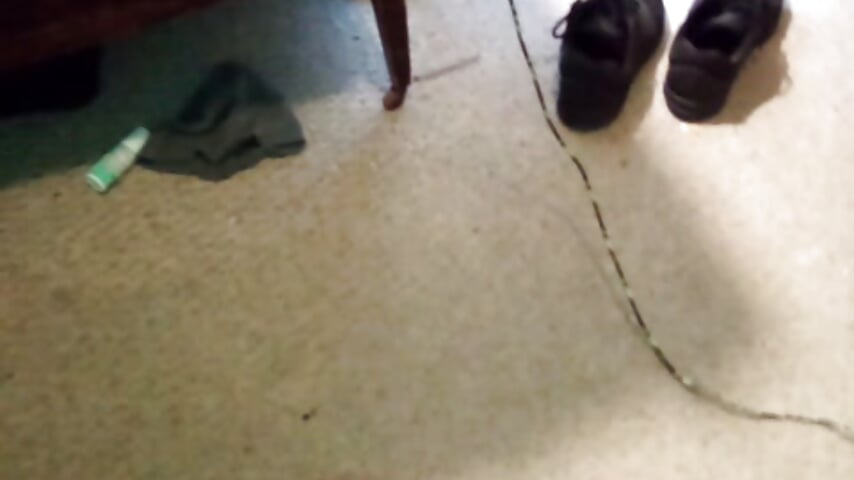 VID_20251231_113837_109 – видео вебкам-модели dkeilmansr