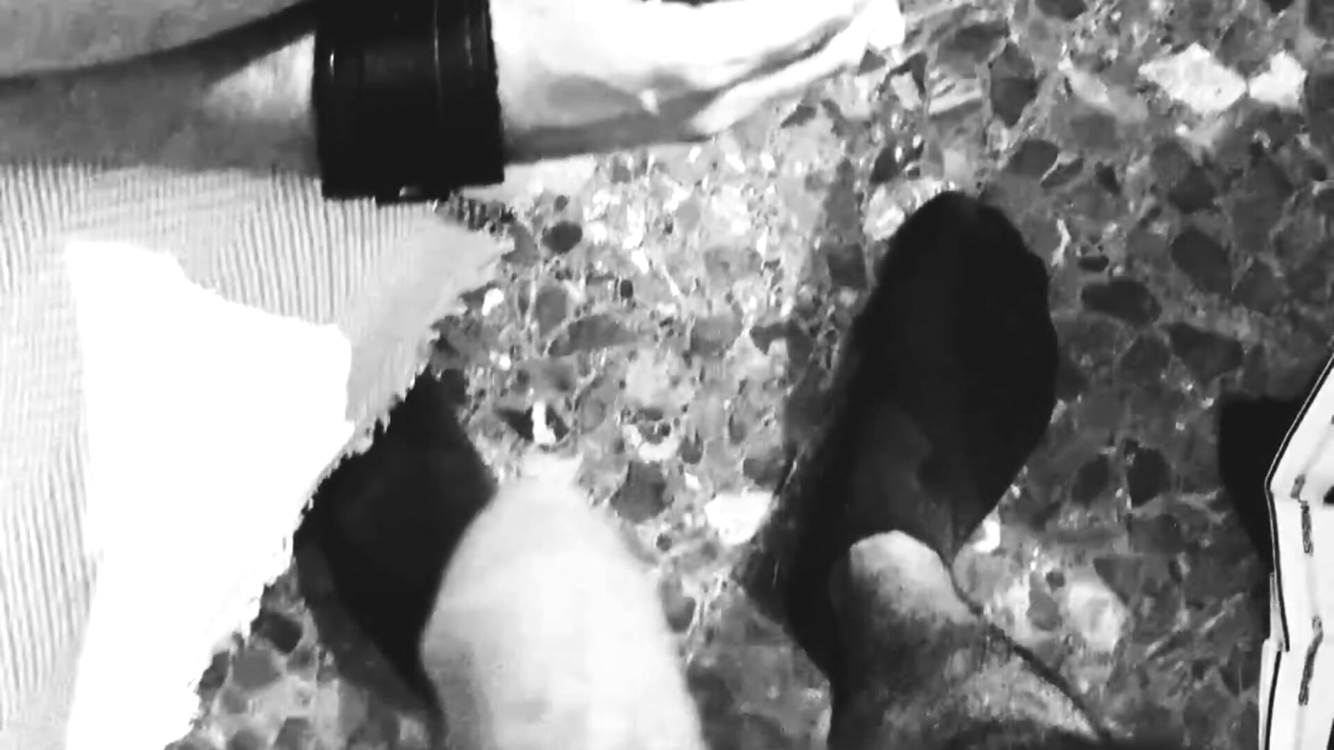 Dildo in my ass while my Arab friend is watching - video av Submissive_Gay_Daddy cam model