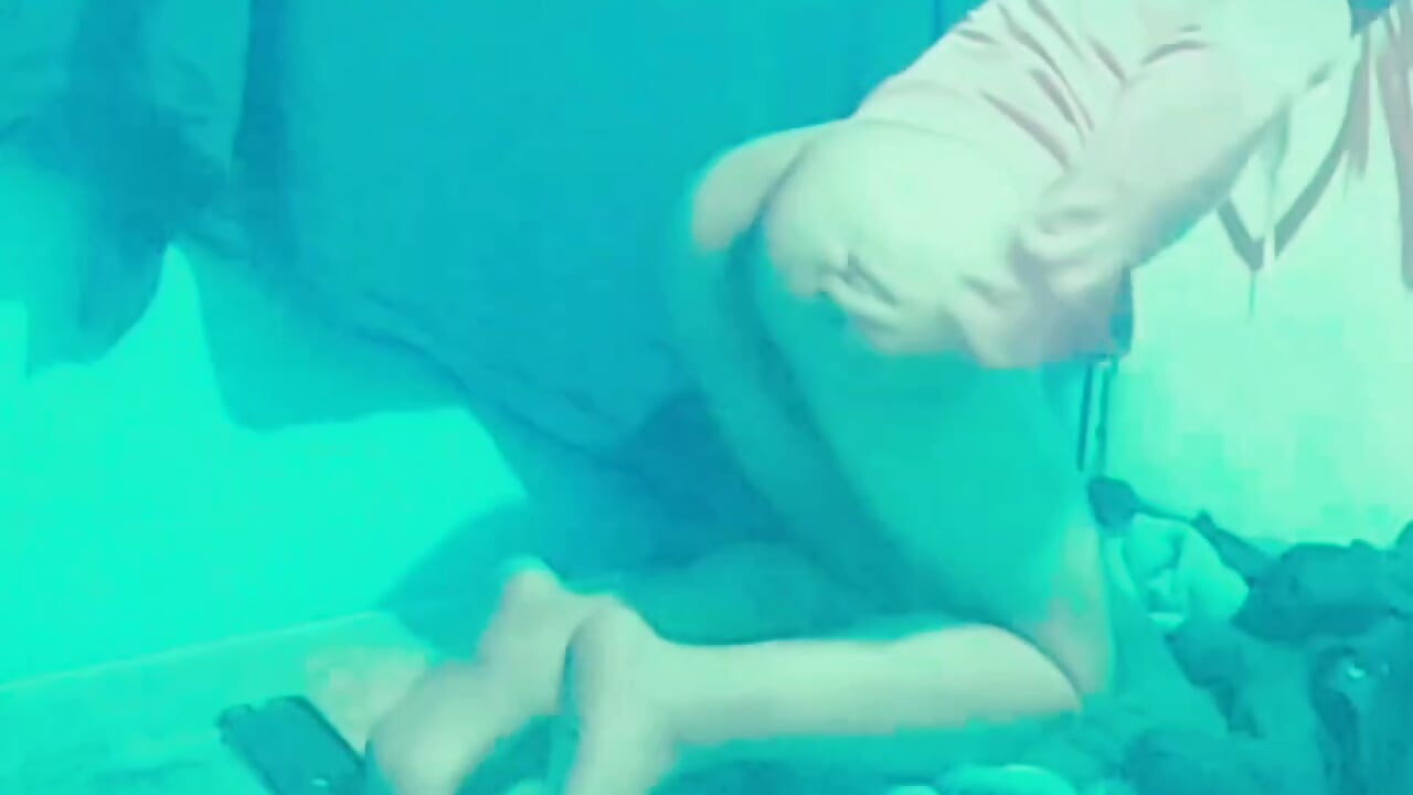 Algo de poses - βίντεο μοντέλου gerinwatch