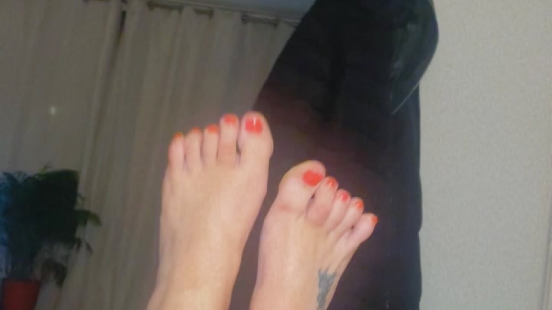 Feet