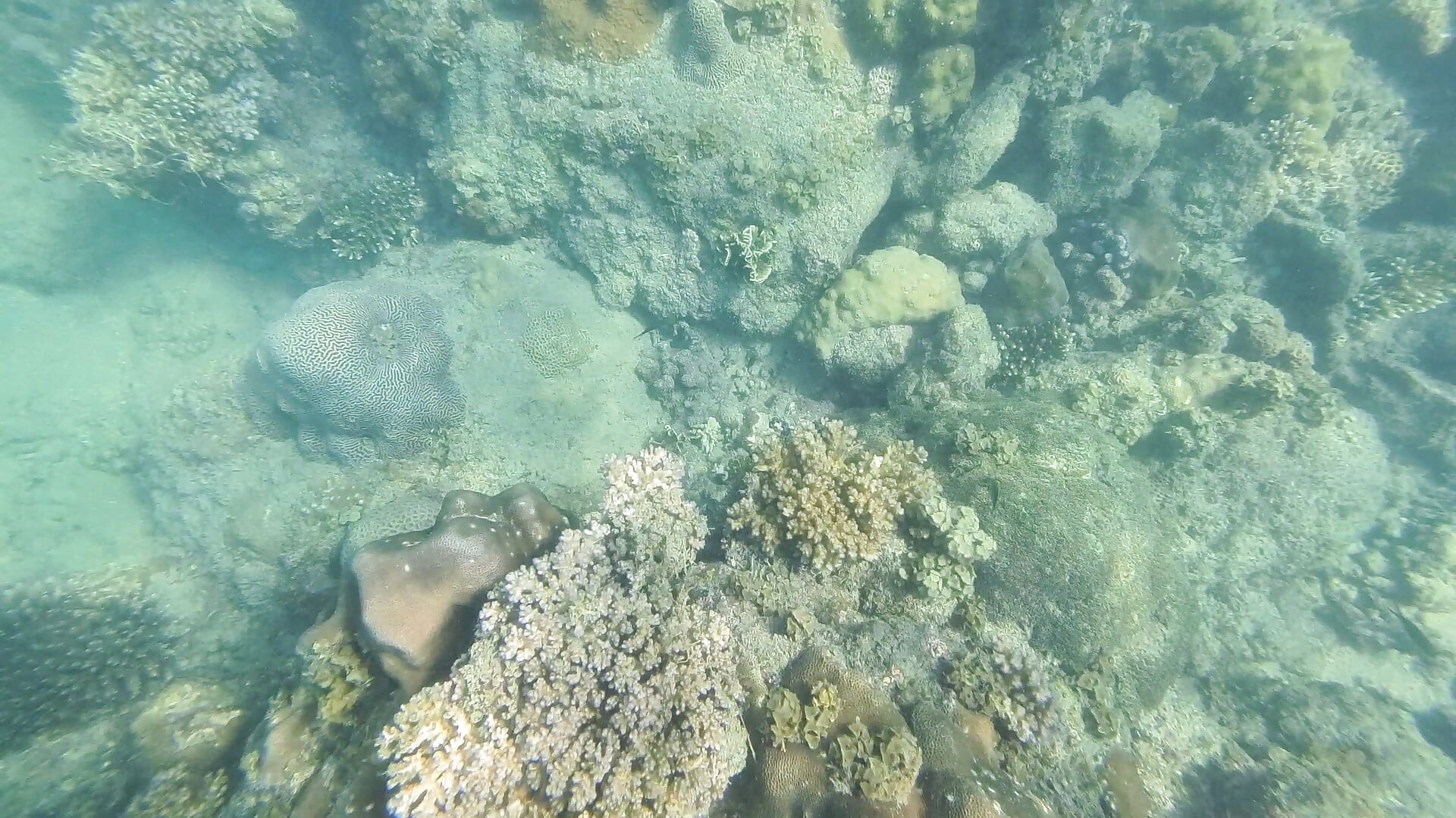 Swimming naked
