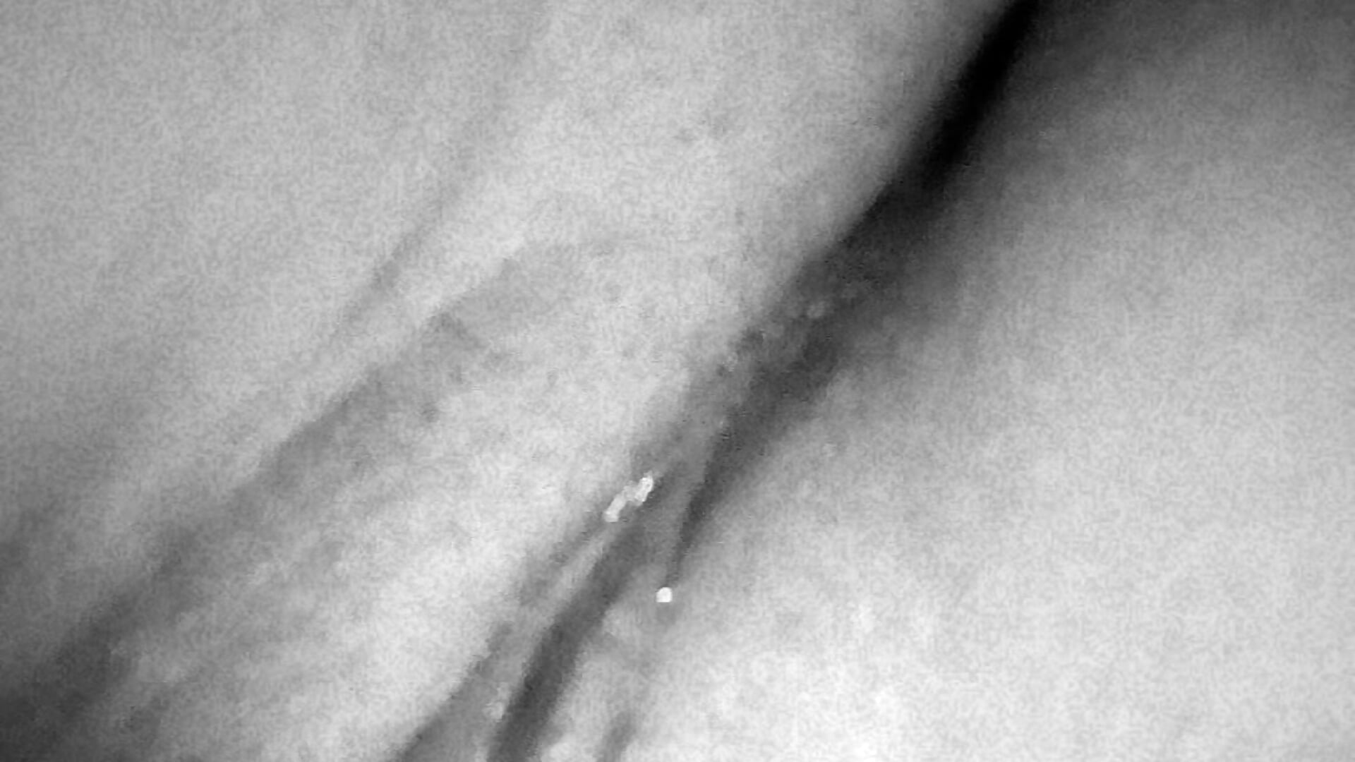 1000339338 - video by elizassv cam model