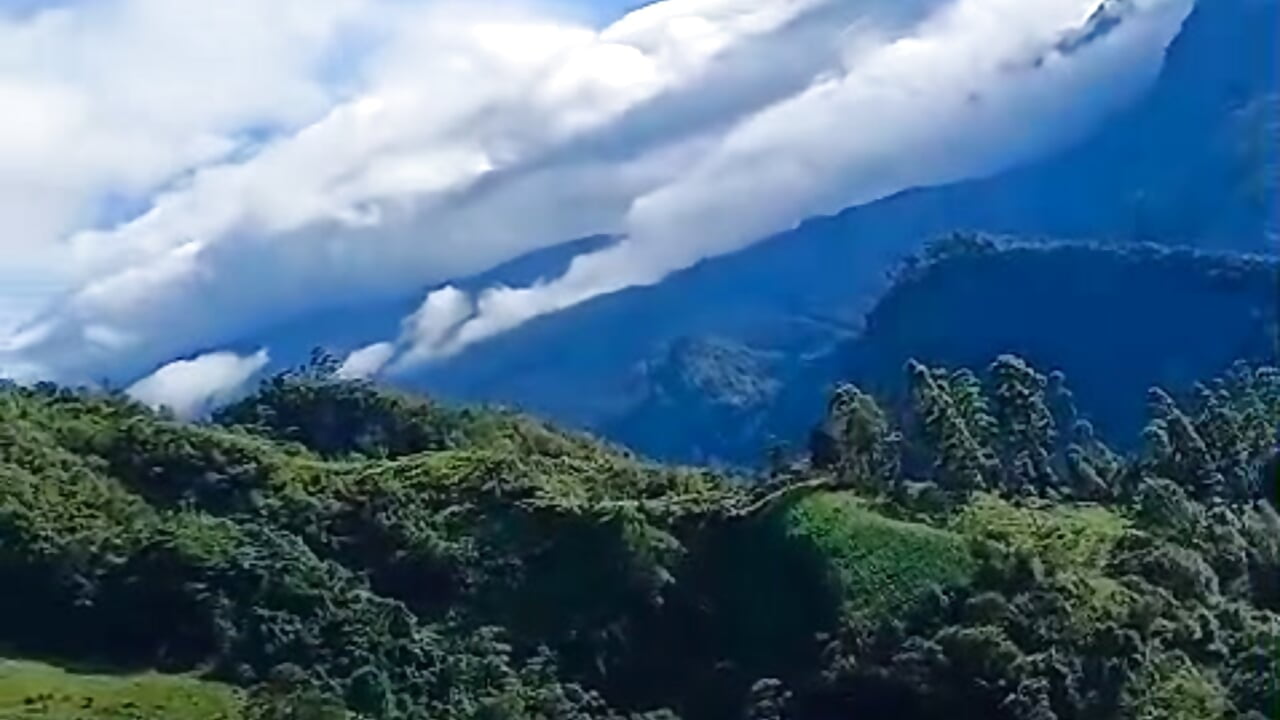 Good morning from the mountains of Colombia 🌳🍃 - video by AdharaSmithh cam model