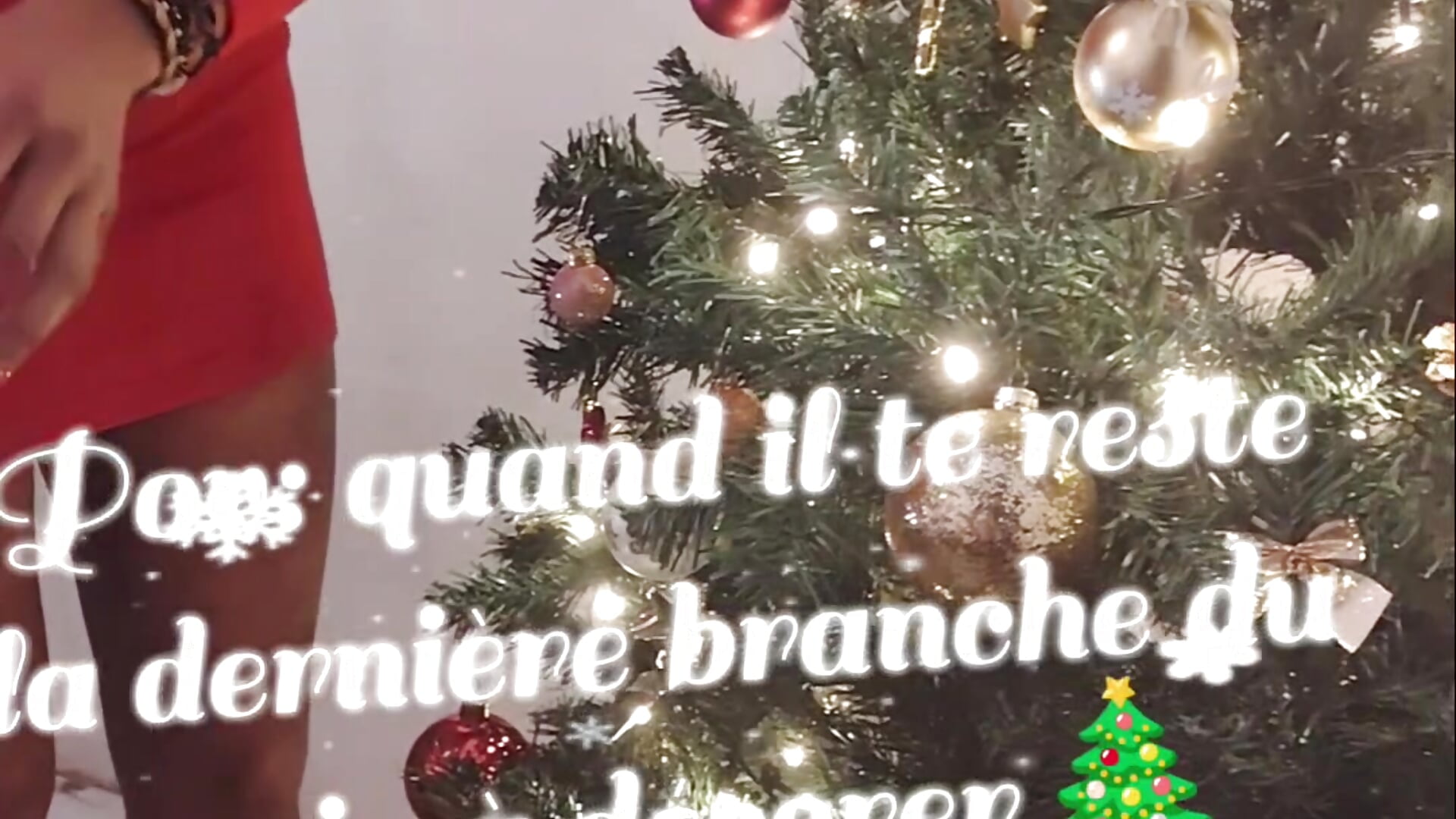 La dernière branche du sapin 🎄 - vidéo du modèle de showcams MK34_c