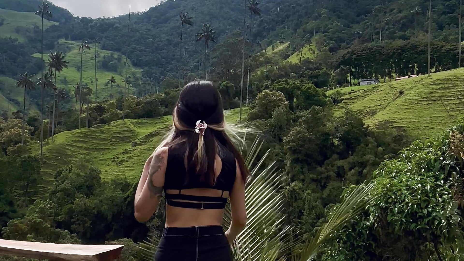 How is the view?🌴 - video by Sakito_Tokio cam model