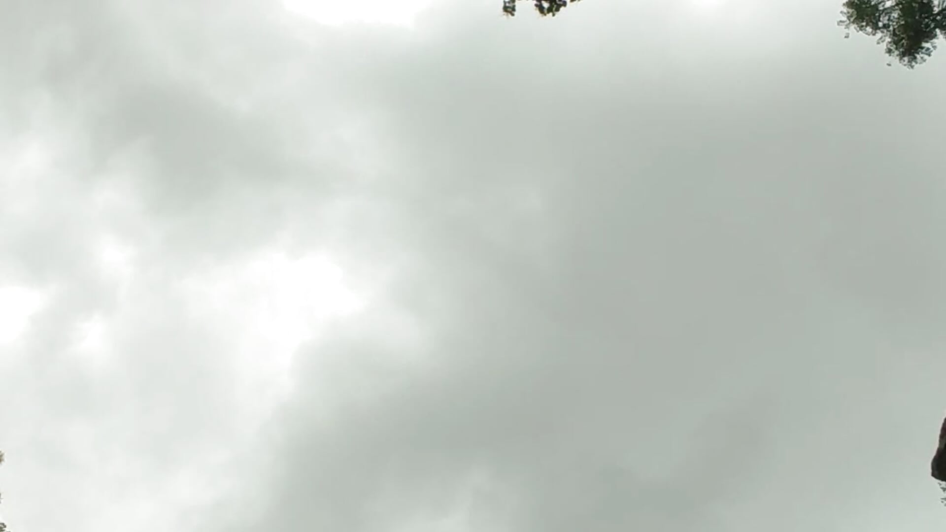 VID_20241116_112242 - vídeo de casaloucuras modelo de câmara