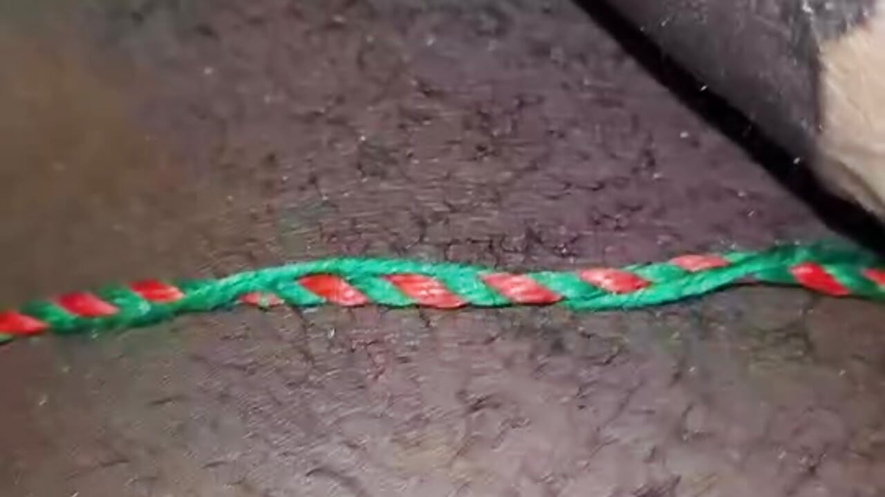 Throbbing Cock - video AveragePacker kameramallilta