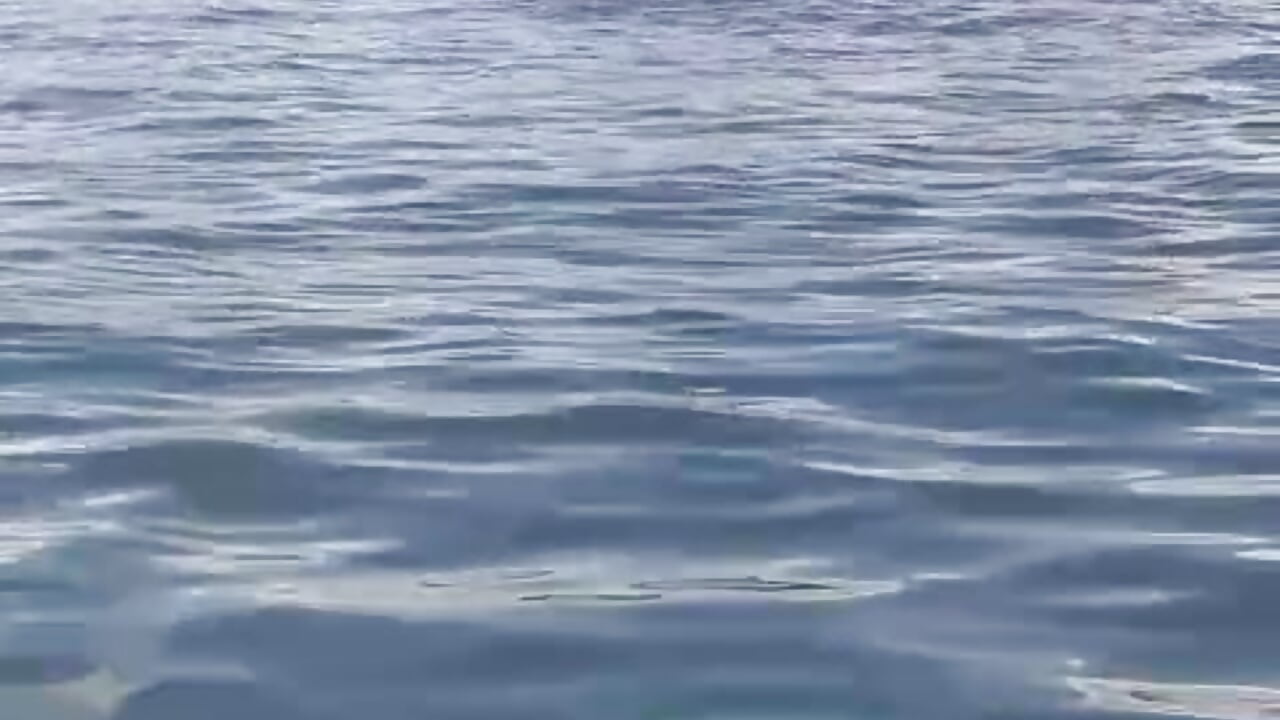 1000003845 – видео вебкам-модели Leleko1997