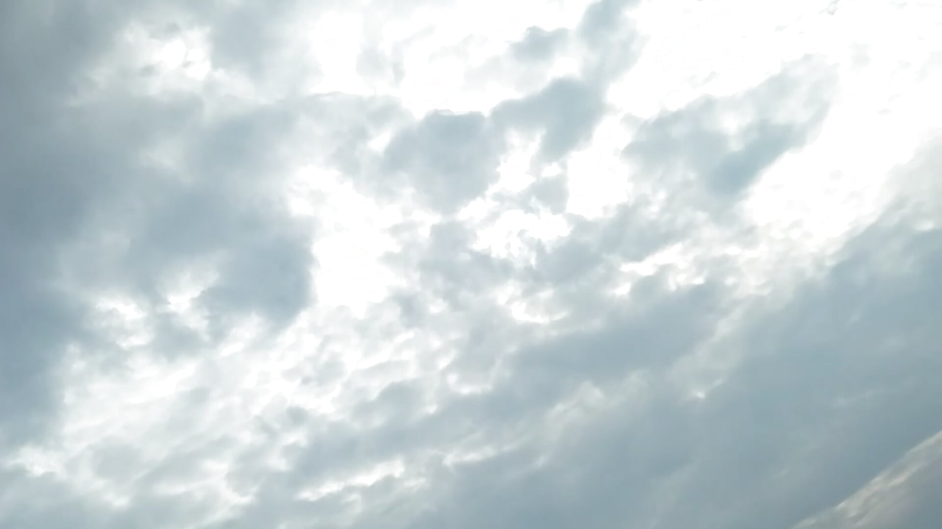 A free mind should be like the bird.. Soaring hgh in sky - video by 633_kl cam model