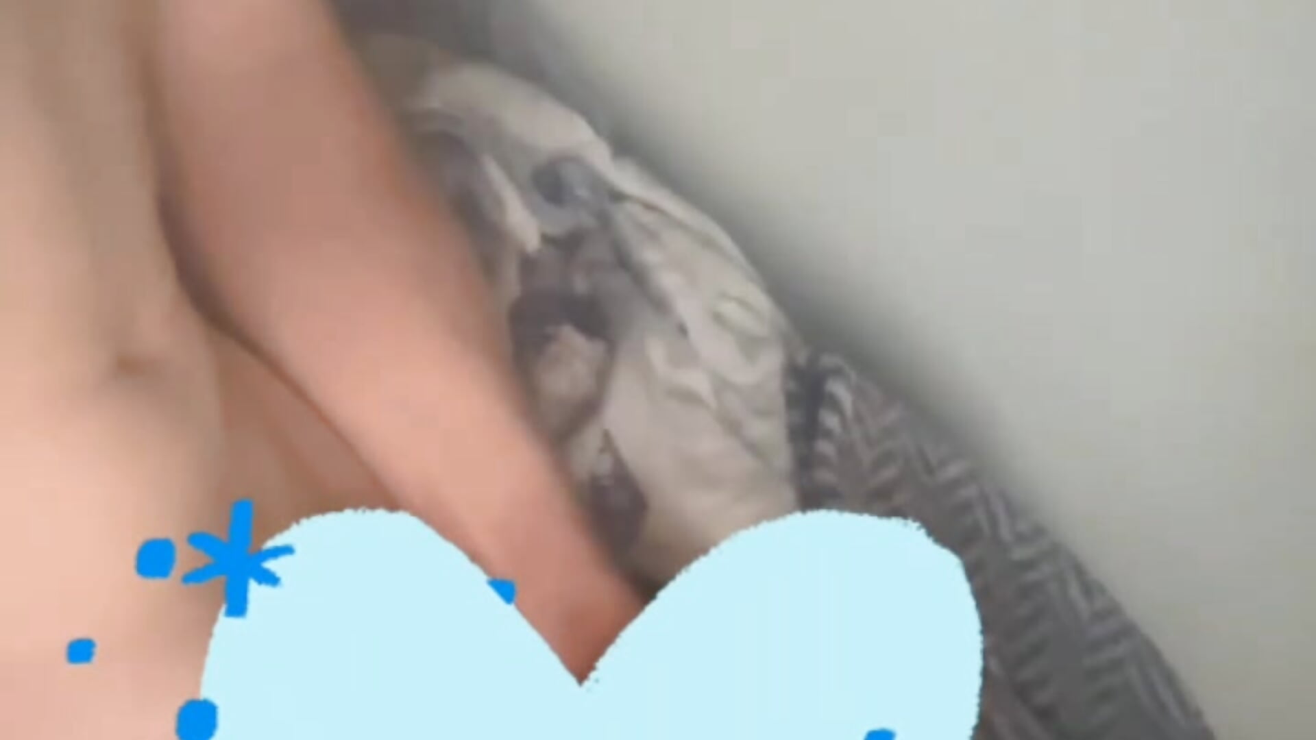 4DB7E378-26CD-40D8-93E2-7CD4722BAD56 - video by Cadegettingpaid cam model