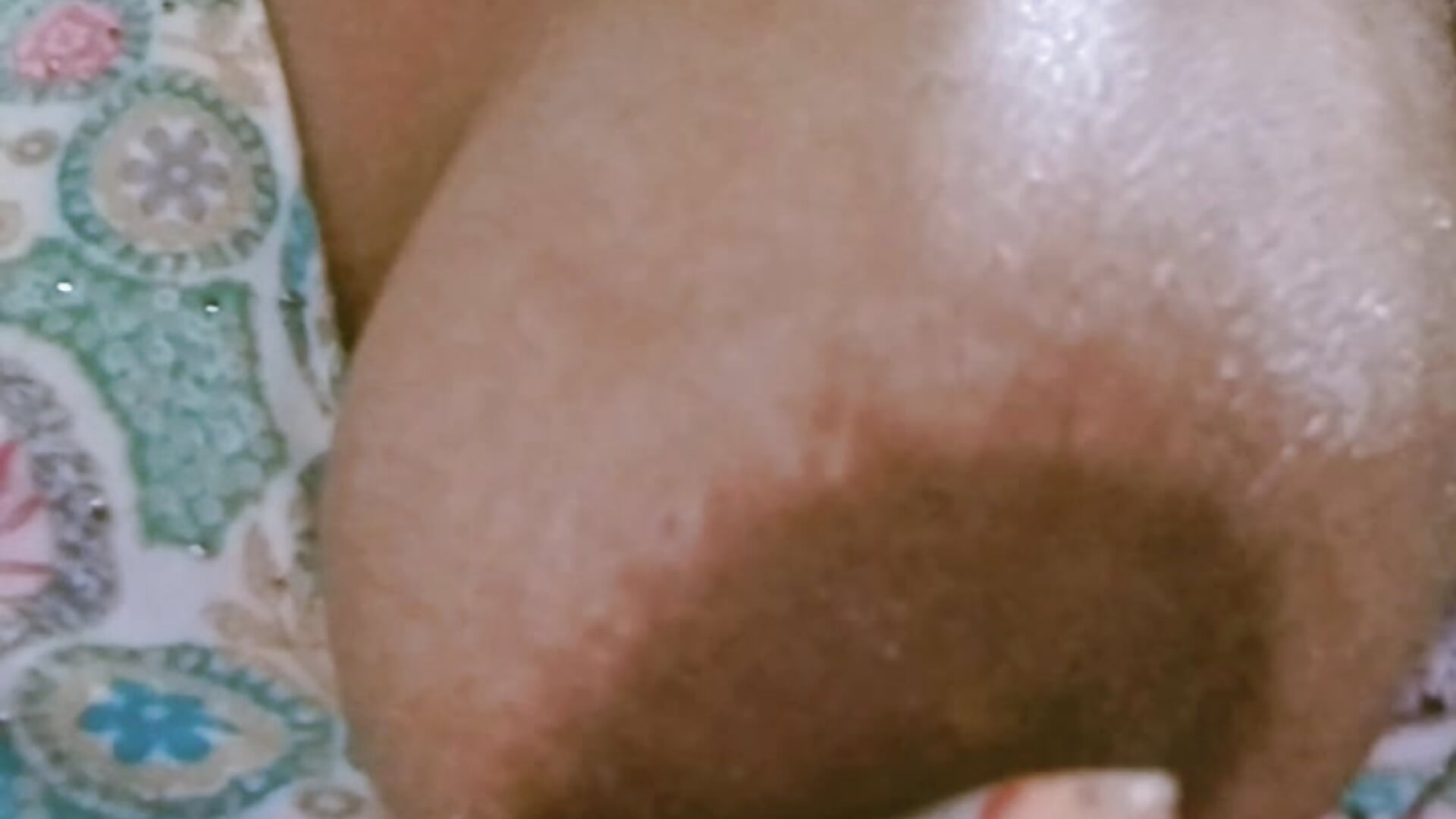 Boobies