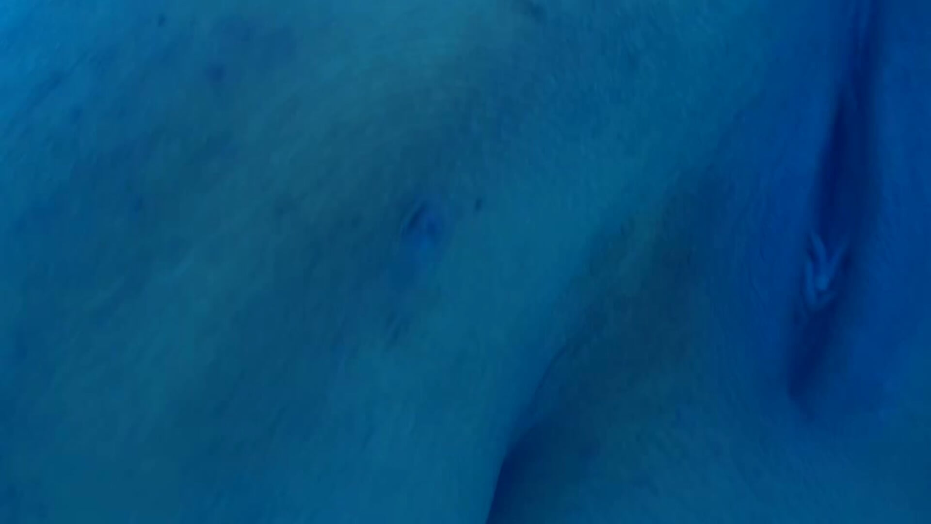 sunbed dildo vid - video di blairbella modella di cam