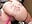 wink :P - Video von Lizzyvixxx Cam-Model