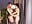 We have a different kind of love than everyone else - vídeo de la modelo de cam TateDevon