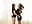 Where the Heart Is - video by DorisHerlan cam model