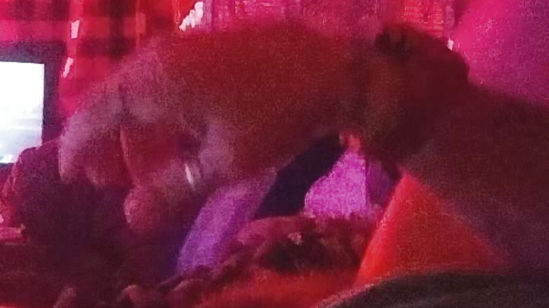 VID_20251217_184848448 - video by pcoxxx69