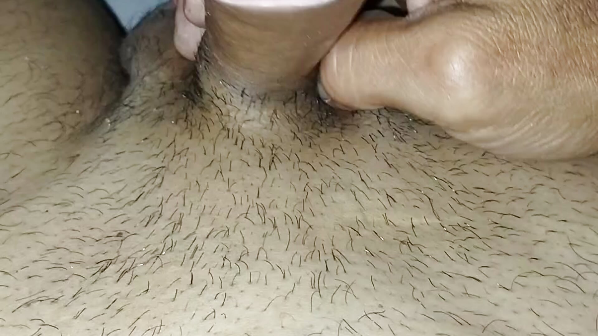 1000137525 - video by Jjelmangote cam model