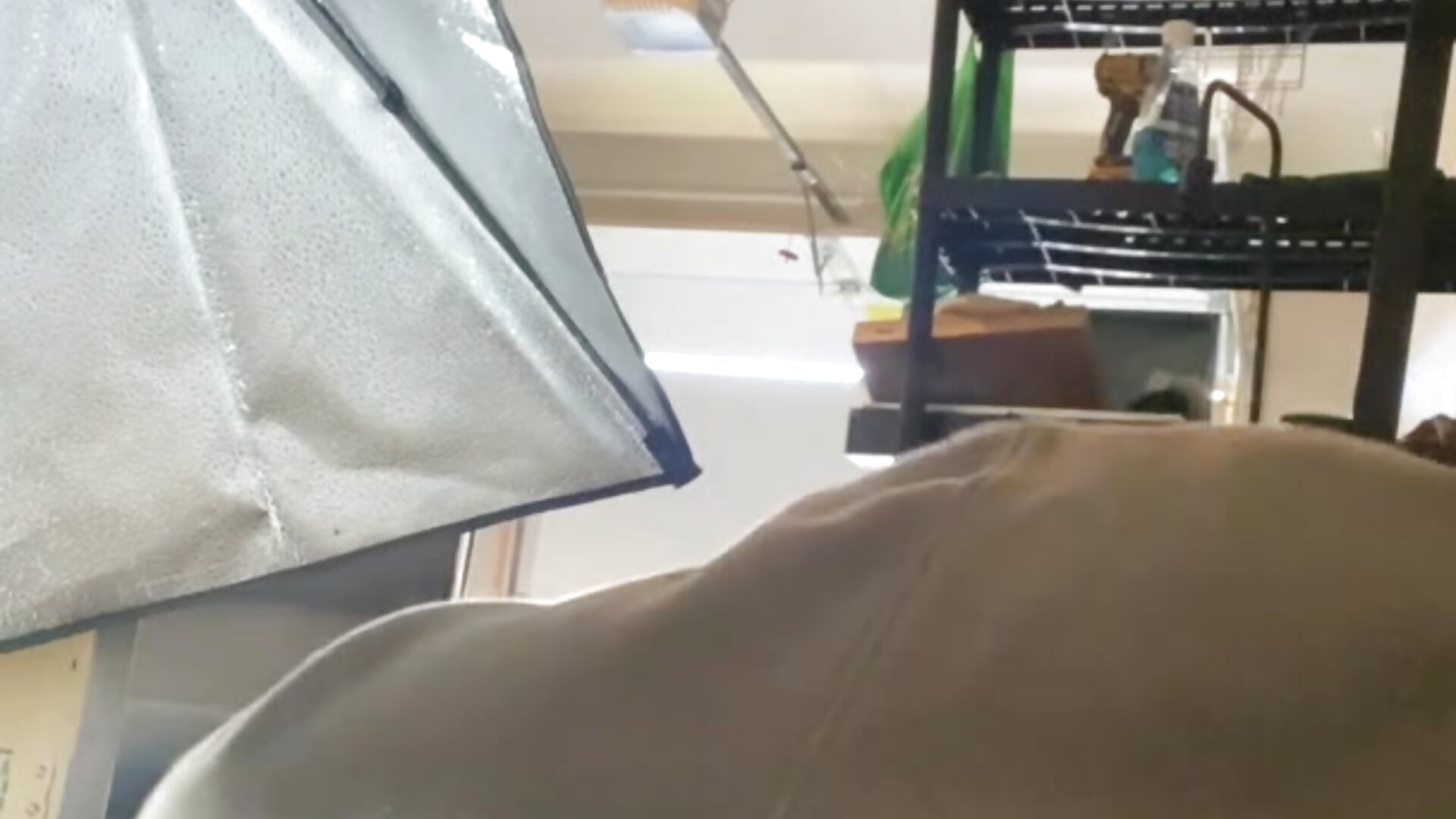 Flashing him 2 - video by Fuckboy4public cam model